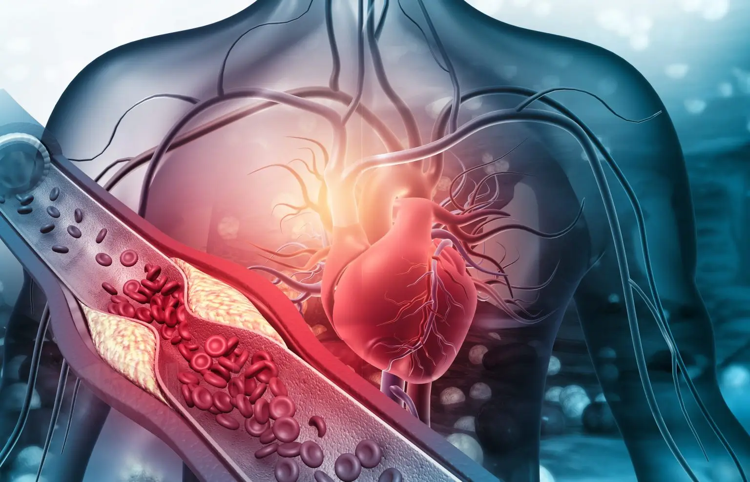 Qual è la fascia di età più critica per il rischio di infarto? Ecco la lista completa e le probabilità