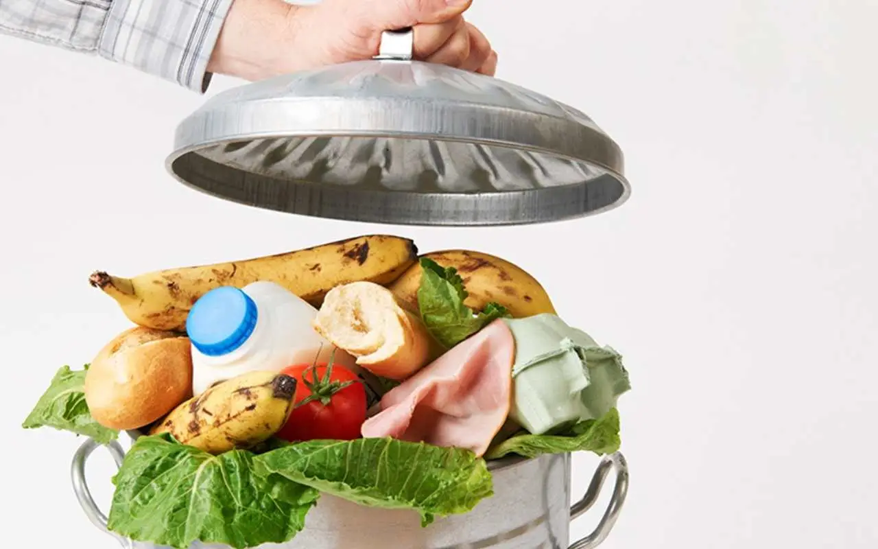 Il trucco per evitare che il bidone dell’umido e i panni puzzino: basta un ingrediente