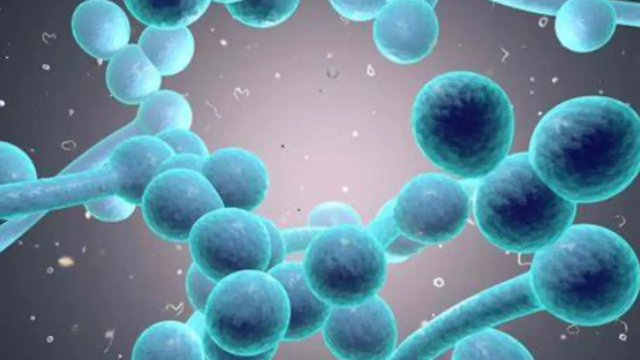 L’unico modo per aumentare le probabilità di sopravvivere a questa malattia: ecco come