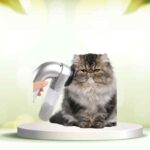 Elimina i peli degli animali da casa con SpazzolAmica: scopri come funziona